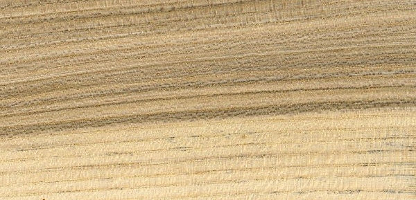 Hackberry Boards / Dimension Lumber